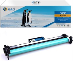 Лазерный картридж G&G GG-CF219A черный